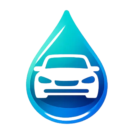 Lavage auto à domicile Salomé